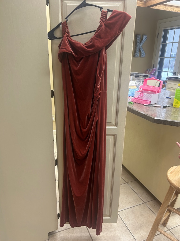 David's Bridal Rust Velvet One-Shoulder Draped Gown